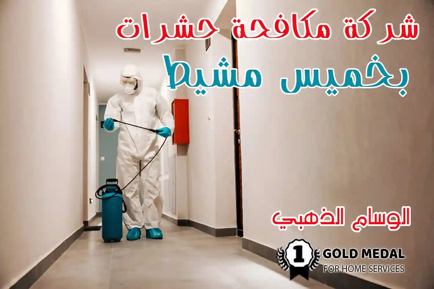 شركة مكافحة حشرات بخميس مشيط